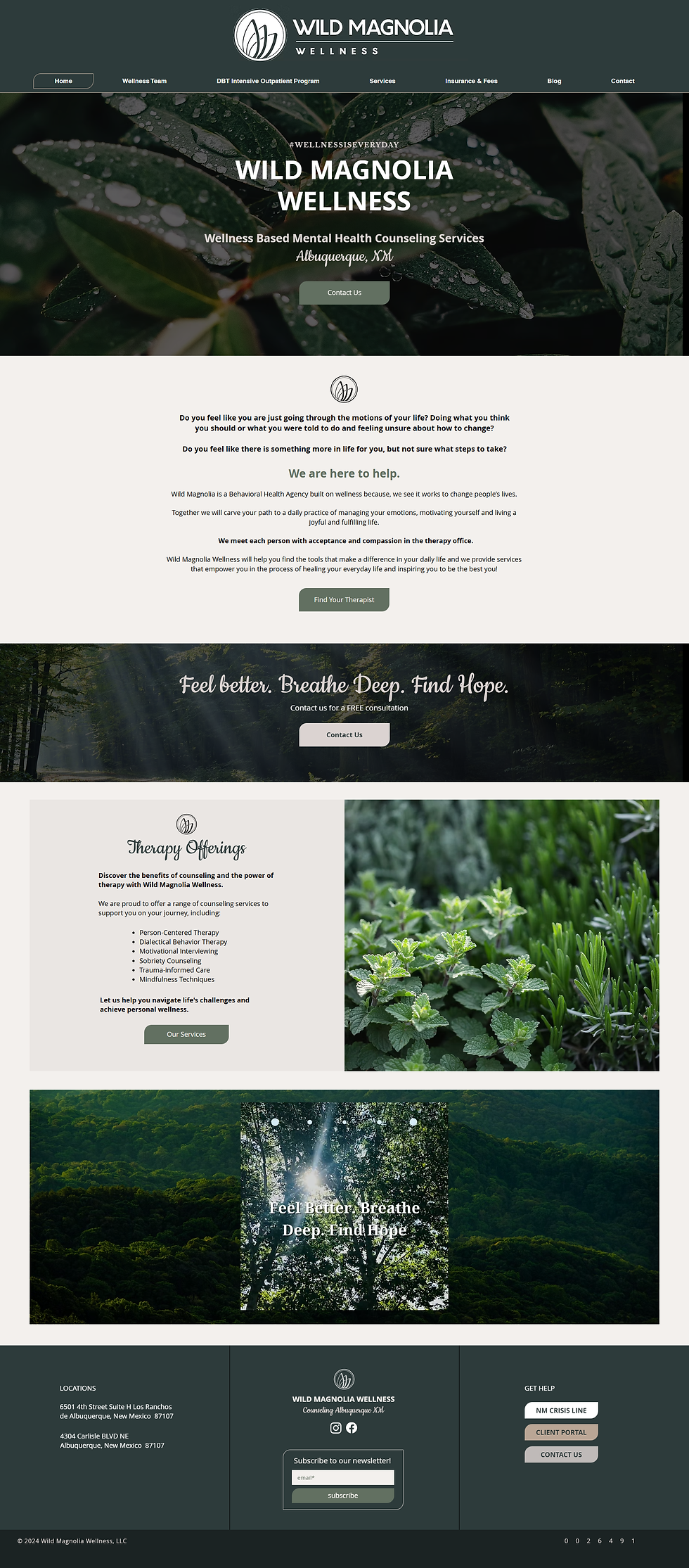 Wild Magnolia Website Home Page - New