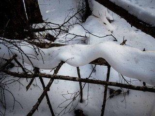IMG-20171125-WA0033.jpg