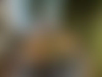 Late Spring Fishing Report