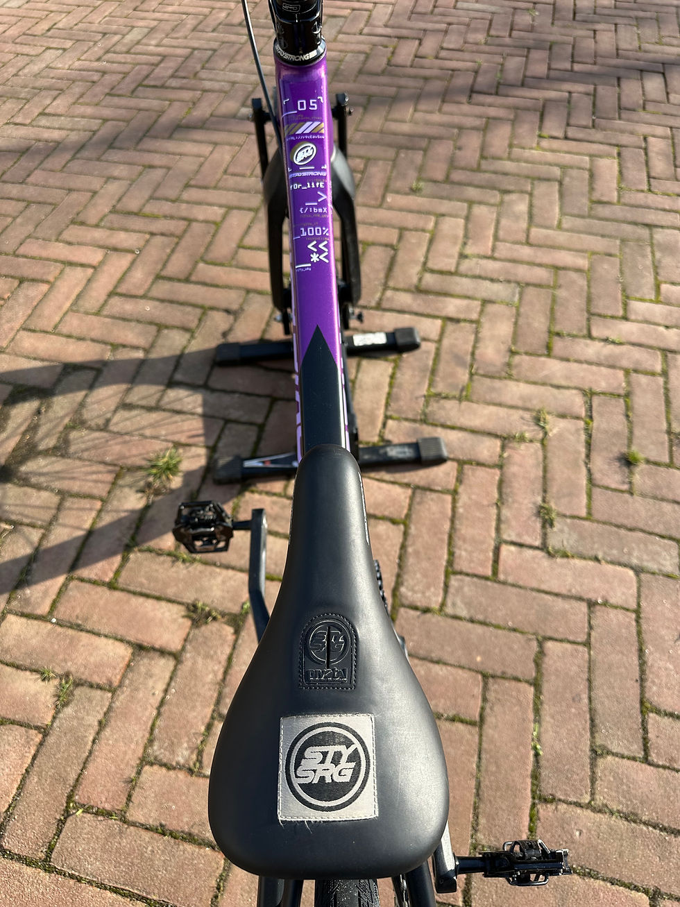 Thumbnail: Stay Strong V5 2025 Purple / Black Pro