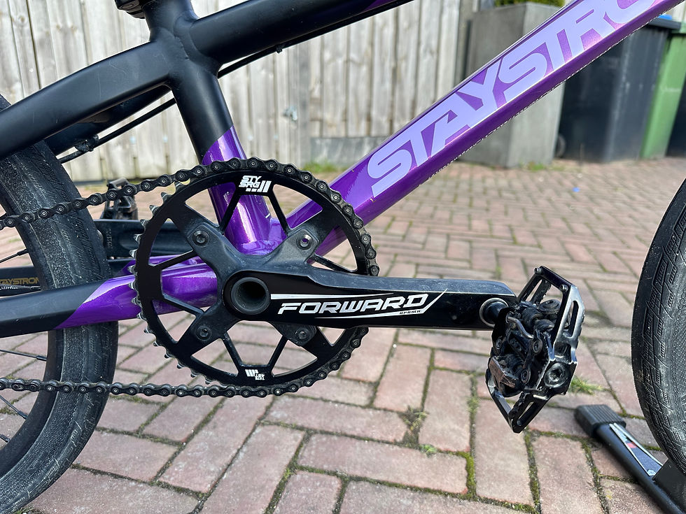 Thumbnail: Stay Strong V5 2025 Purple / Black Pro