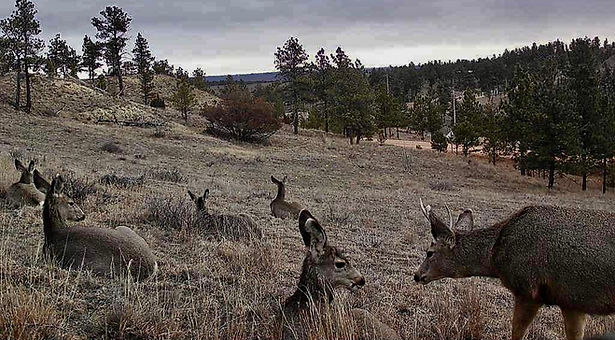 860516067801922-100-3-01092026142704-W1003528_edited.jpg