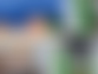 Qual tamanho ideal do meu box?