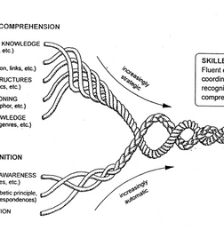 What Is Dyslexia? Understanding the New 2025 Definition and Why It Matters