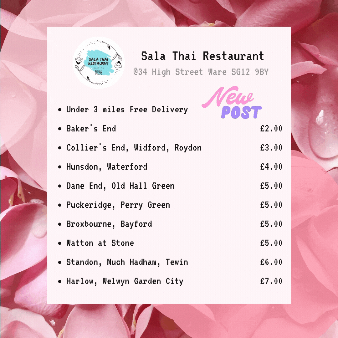 Pink Social Media Post Instagram Templat