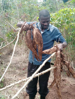 af7d389bcac331373214da1e1be34bba