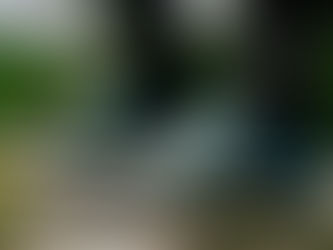 Running in second hand shoes - Conquering Transrockies Run