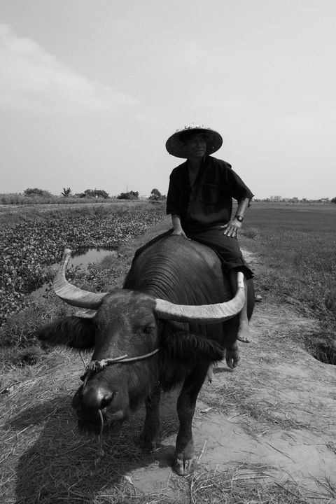 Travel photography