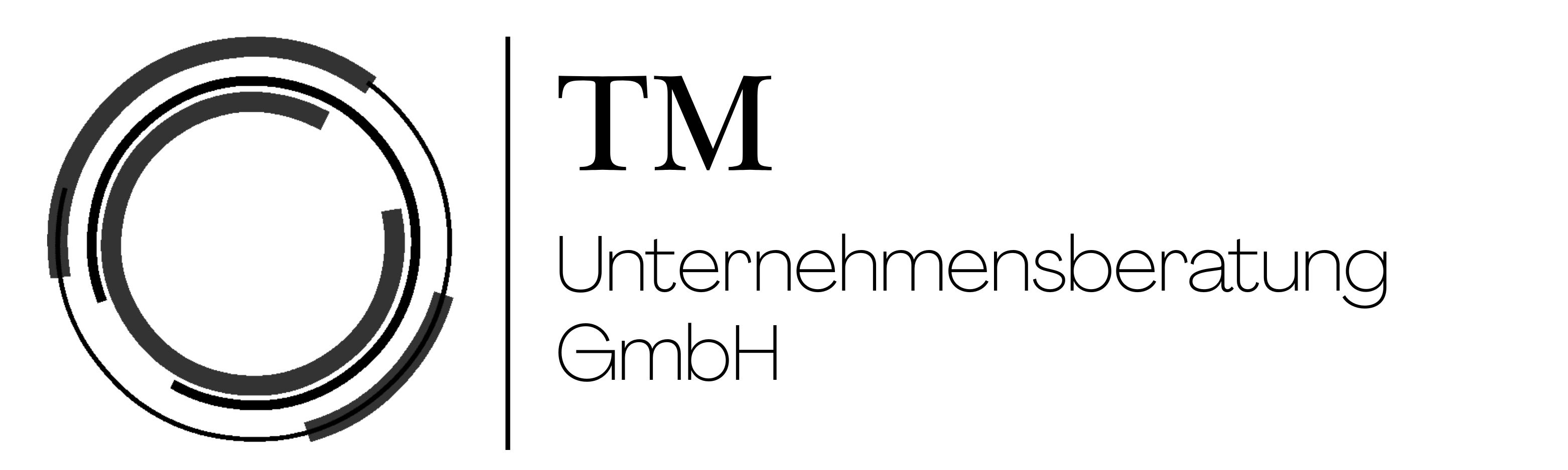 TM Unternehmensberatung GmbH (1).png