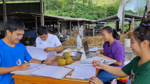 หน่วยพัฒนาสุขภาพและผลผลิตสัตว์ (HHU) แม่ทา ให้บริการเกษตรกร