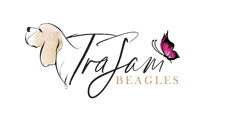 67921332_10162207536695046_2267261936469016576_n (1).jpg