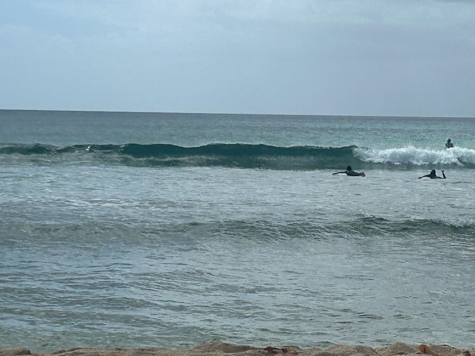 🌊 Stage de surf 7–14 ans : 4 jours d’apprentissage et d’aventure entre Port-Louis et Anse-Bertrand
Se