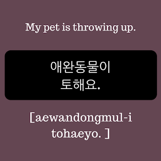 my pet is throwing up