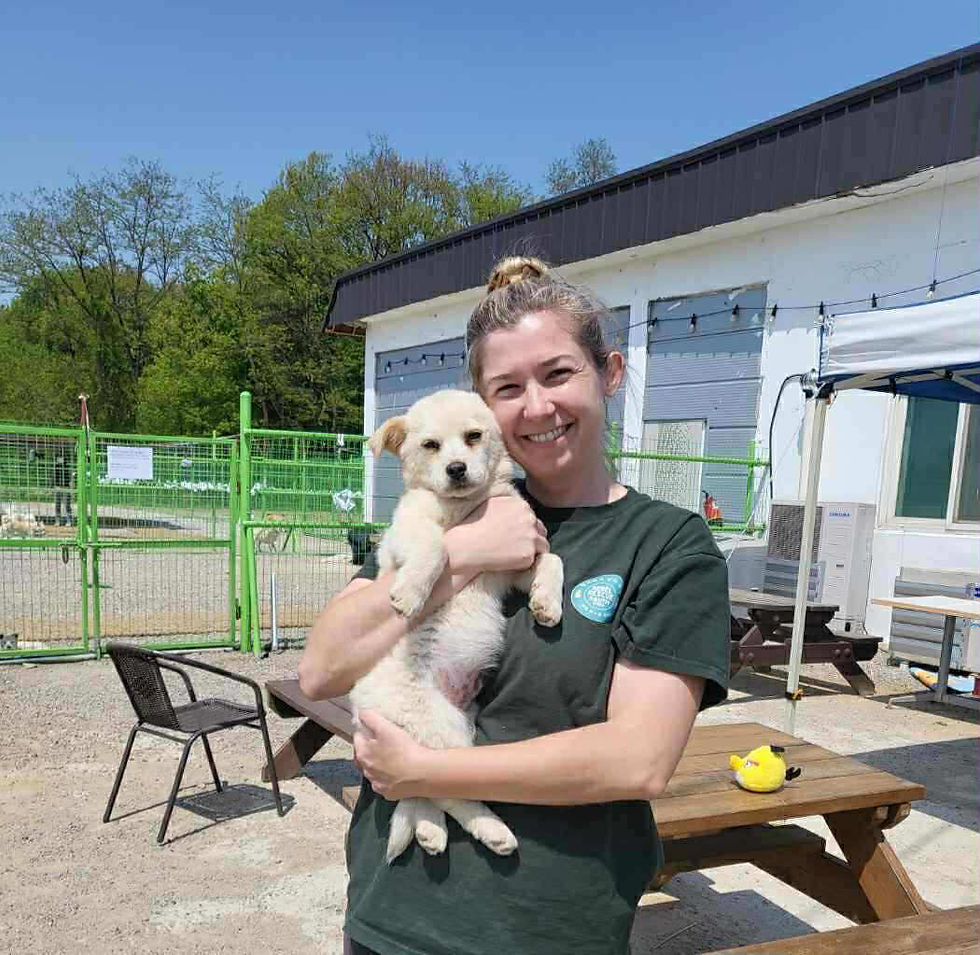 Woman smiling while holding a small white puppy outdoors. Green fence and building in background, blue sky. Relaxed and joyful mood.