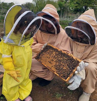 Three people in beekeeping suits examine a beehive frame outdoors. A child in yellow looks on while adults hold the frame. Overcast sky.