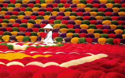 brightly colored garden with woman sitting
