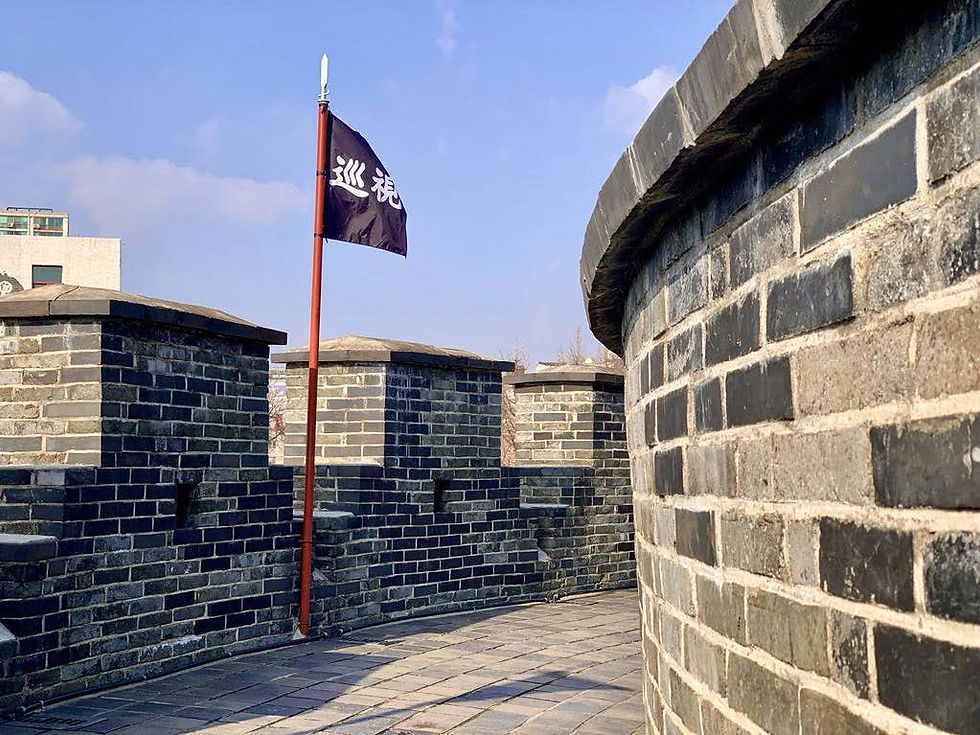 Brick wall with a flag featuring white text on a pole. Sunny day, blue sky in the background, modern building partially visible.