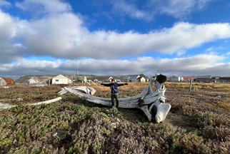 a whale graveyard from last year’s hunt in Gambell, Alaska.