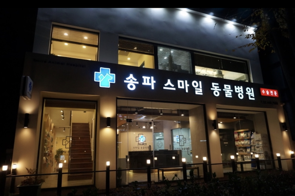 Animal hospital at night with lit signage in Korean. Glass doors reveal an interior with stairs and shelves. Modern, welcoming ambiance.