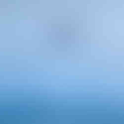 White wall memorial with doves and olive branches, honoring UN forces from the Korean War, 1950-1953. Text present; solemn mood.