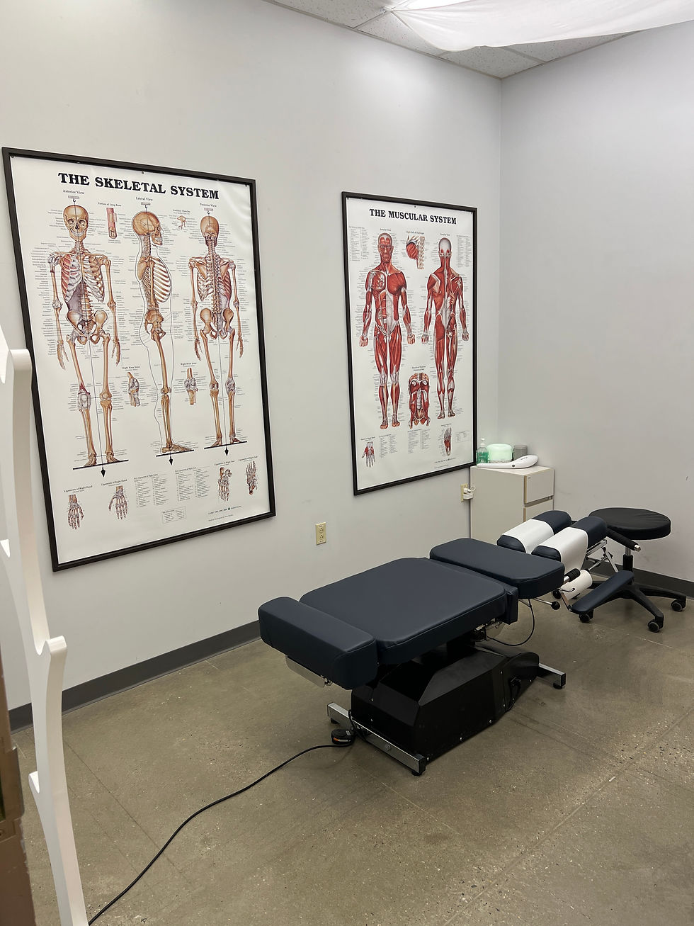 A chiropractic table and stool in a clinic room with anatomical posters of the skeletal and muscular systems on the walls. Neutral tones.
