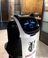 smoketown delivery robot