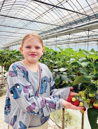 Child in a Stitch sweater smiling while picking strawberries in a greenhouse with lush green plants. Bright, cheerful atmosphere.