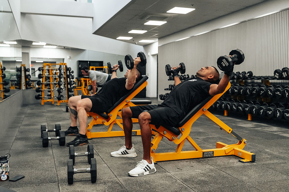 Two people lifting dumbbells on yellow benches in a gym, surrounded by weights. The setting is brightly lit and orderly.
