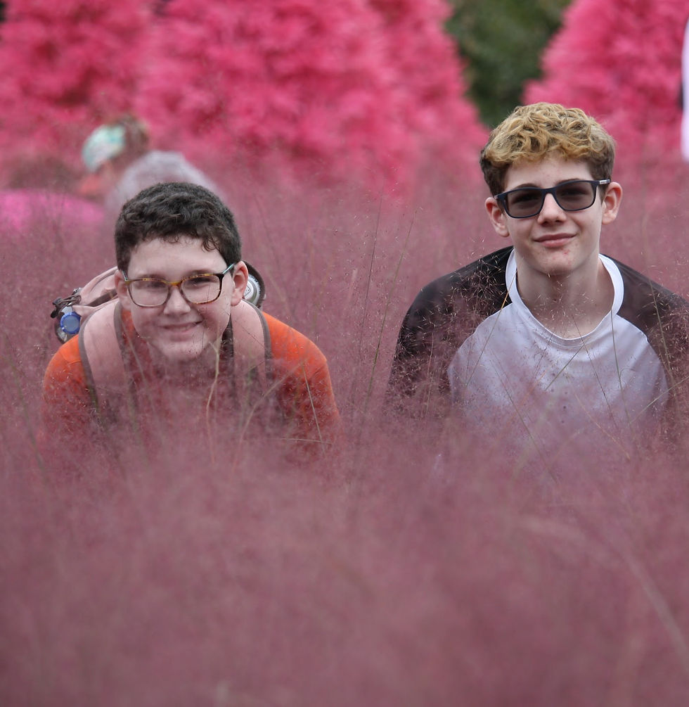 Two smiling people with glasses lean forward in a field of pink grass, with vibrant pink trees in the background. Casual, playful mood.