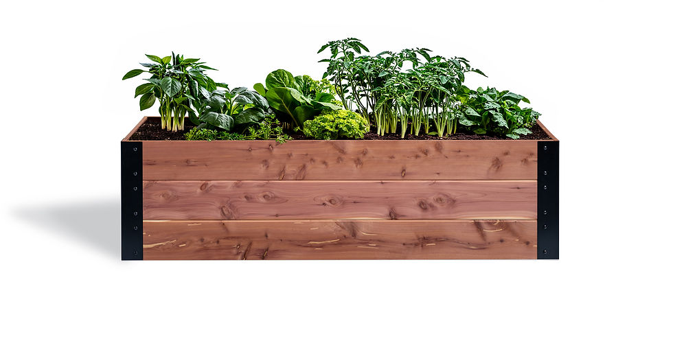 Thumbnail: 36"x 60" Garden Box (16.5"High)