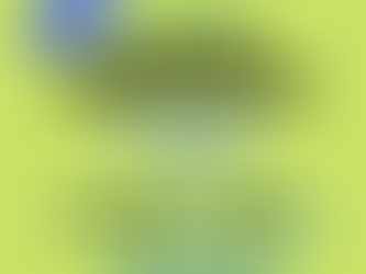 2022年1月:開催オンライン留学説明会