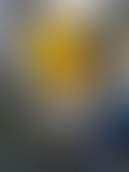 ১। টেকনাফ উপজেলা