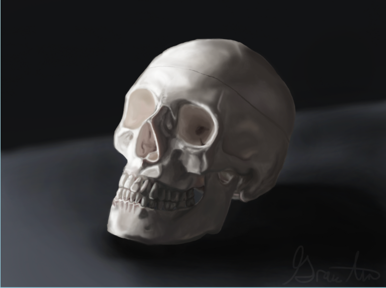 Skull Painting