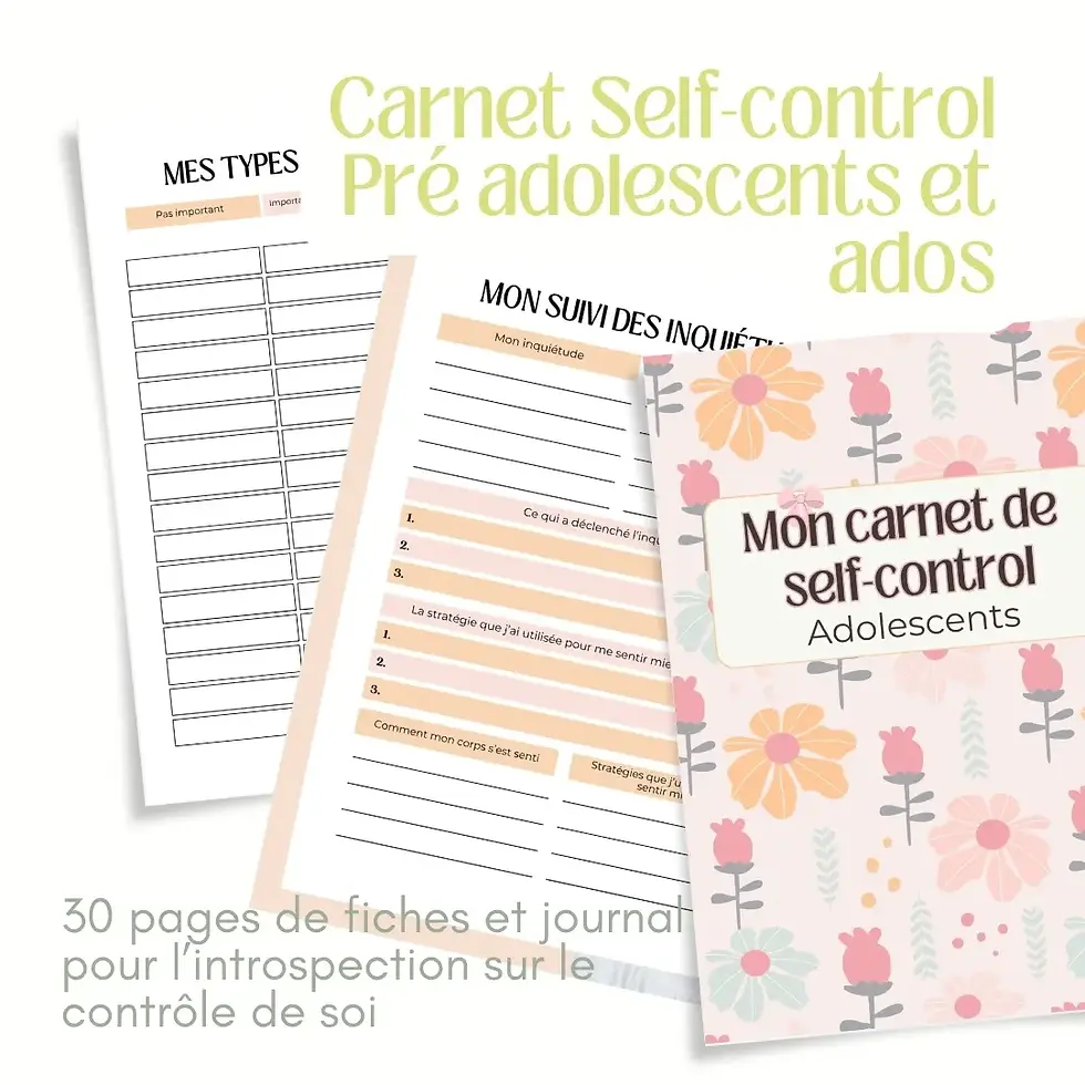 Miniature : Journal gestion des émotions - Pré-ados & Adolescents PDF