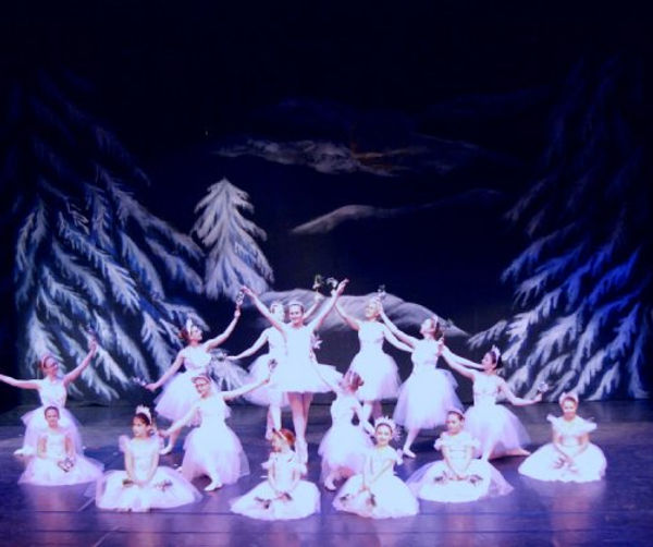 2010snow.jpg