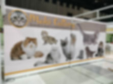 งานตกแต่งบูธ Maki Cattery