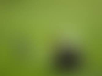 Home Insurance for Dorado Beach East, Puerto Rico — What Buyers Must Know Before Closing