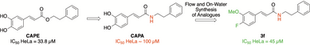 Flow and On-Water Synthesis and Cancer Cell Cytotoxicity of Caffeic Acid Phenethyl Amide (CAPA) Derivatives
