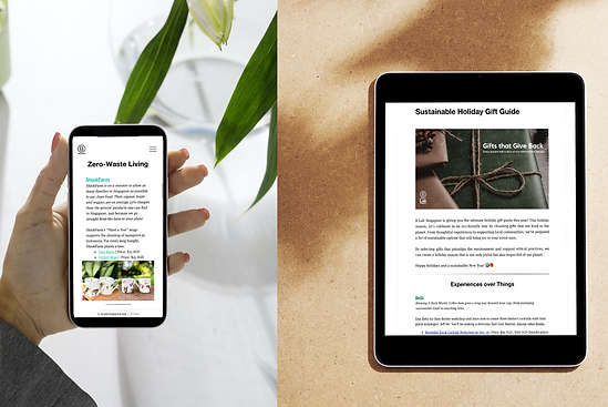 Sustainability Gift Guide