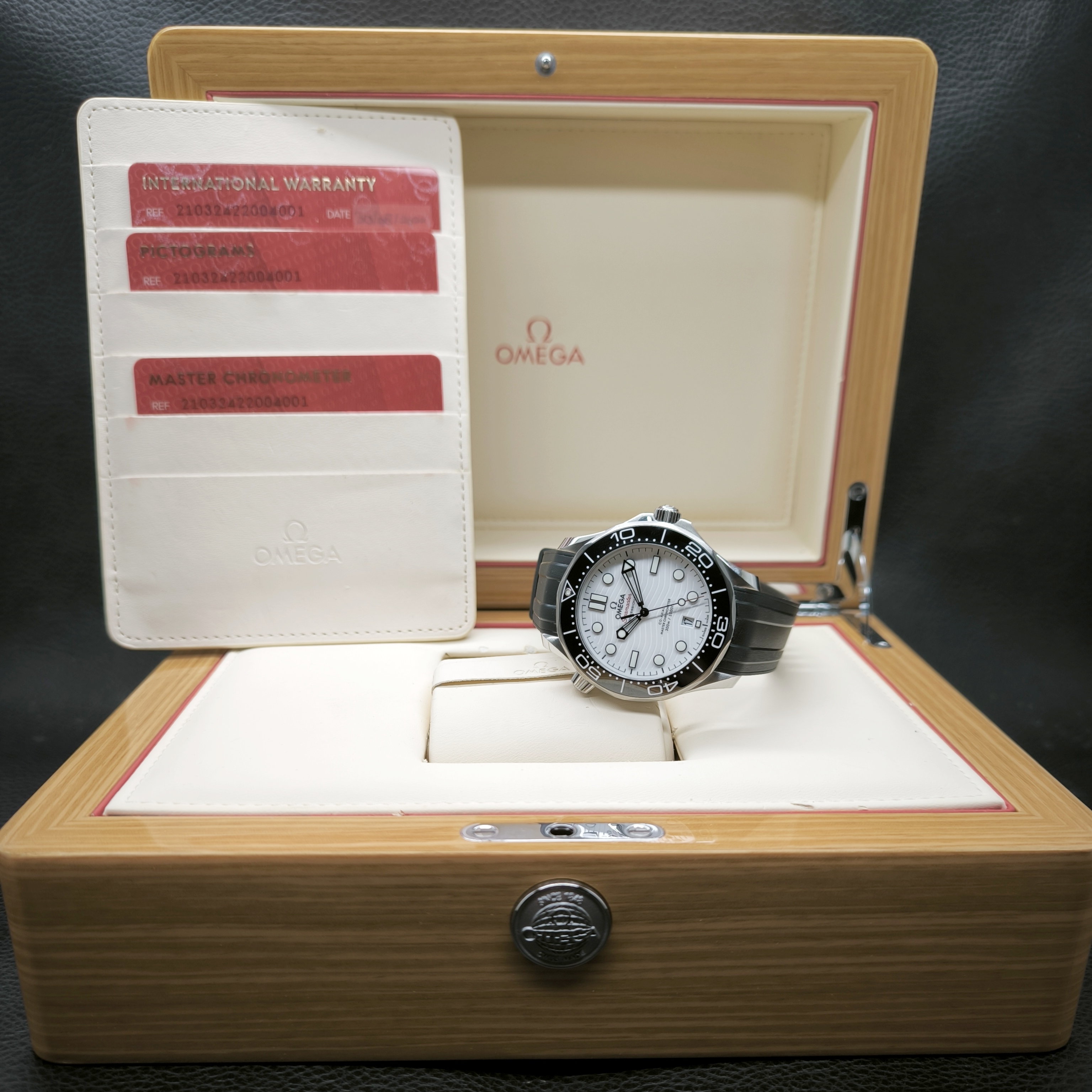 Seamater Diver 300m 42mm view 5