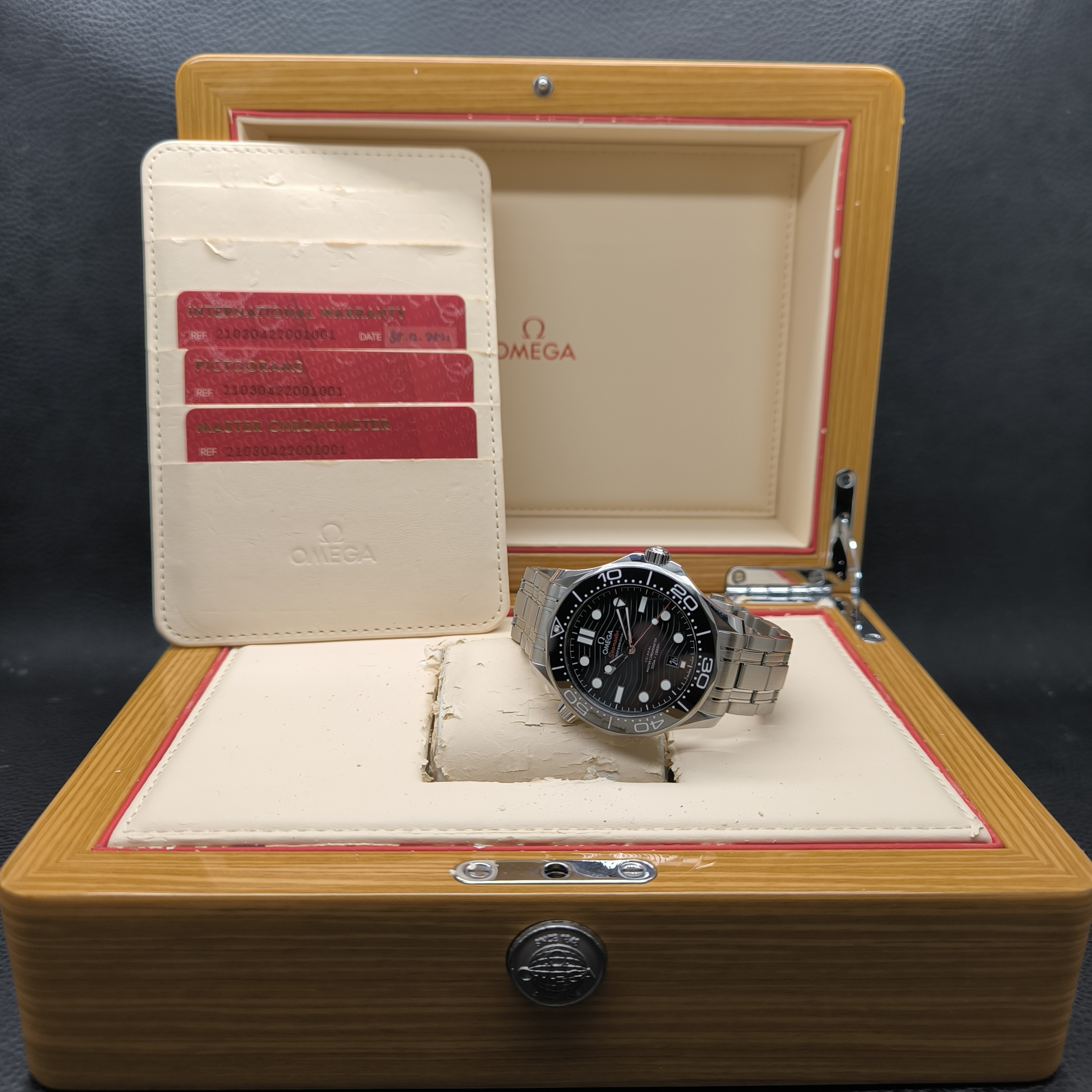 Seamaster Diver 300M view 5