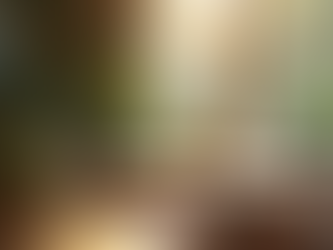 How to Create Your Own Sanctuary at Home and Mind for Mindful Eating and Digital Wellness