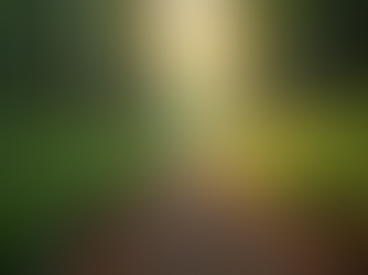 Redefining Strength: The Power of Listening