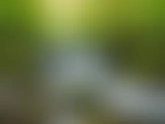 The Importance of Prioritizing Mental Health in Daily Life