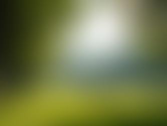 Building Supportive Communities for Holistic Wellness