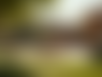 How Community Plays a Role in Holistic Healing