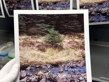 Dumfries and Torronsuo - Darkroom Diaries
