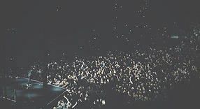 Live Crowd