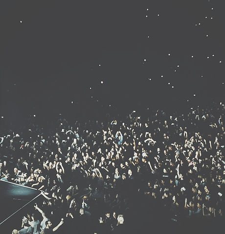 Live Crowd