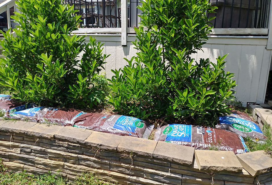 20190508_133806_HDR.jpg
